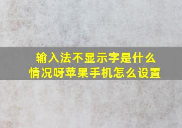 输入法不显示字是什么情况呀苹果手机怎么设置