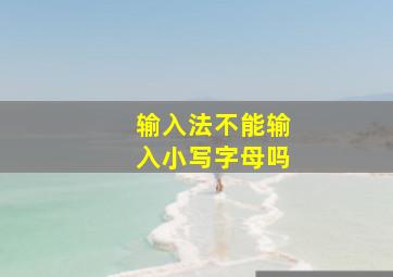 输入法不能输入小写字母吗