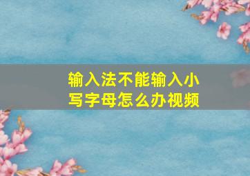 输入法不能输入小写字母怎么办视频