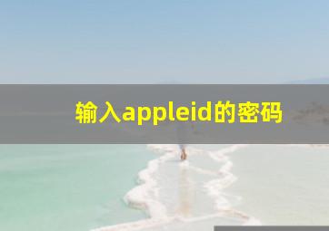 输入appleid的密码