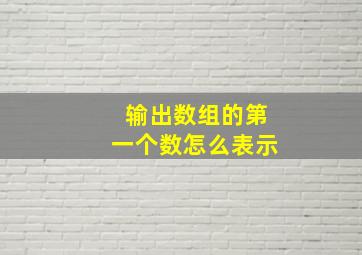 输出数组的第一个数怎么表示