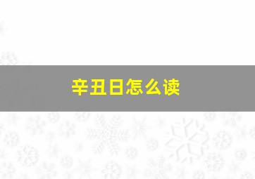 辛丑日怎么读