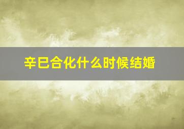 辛巳合化什么时候结婚