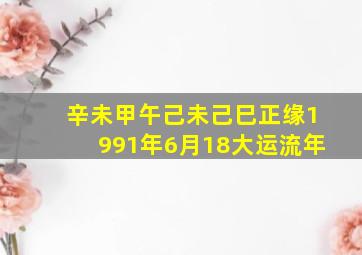 辛未甲午己未己巳正缘1991年6月18大运流年