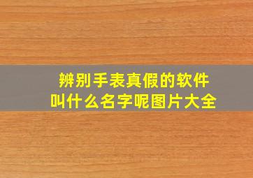 辨别手表真假的软件叫什么名字呢图片大全