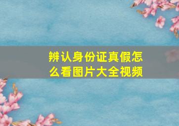 辨认身份证真假怎么看图片大全视频