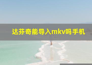 达芬奇能导入mkv吗手机