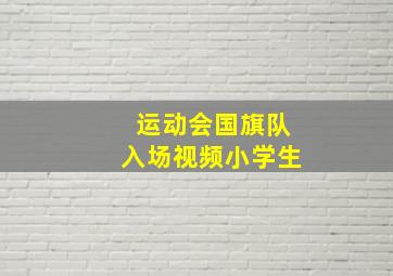 运动会国旗队入场视频小学生