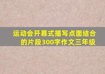 运动会开幕式描写点面结合的片段300字作文三年级