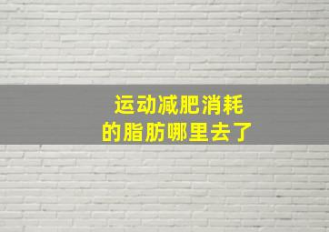 运动减肥消耗的脂肪哪里去了