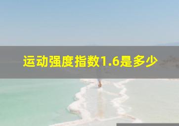 运动强度指数1.6是多少