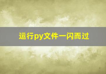 运行py文件一闪而过