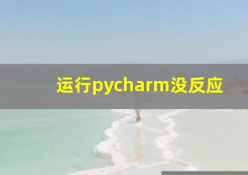 运行pycharm没反应