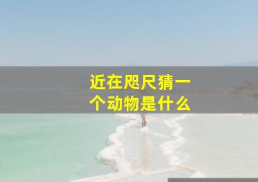 近在咫尺猜一个动物是什么