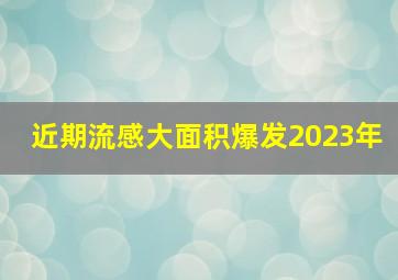 近期流感大面积爆发2023年