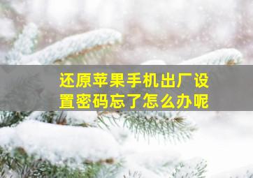 还原苹果手机出厂设置密码忘了怎么办呢