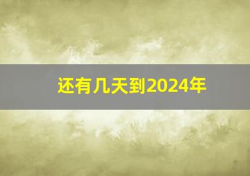 还有几天到2024年