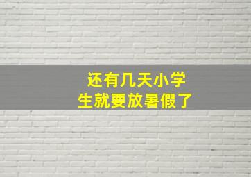 还有几天小学生就要放暑假了