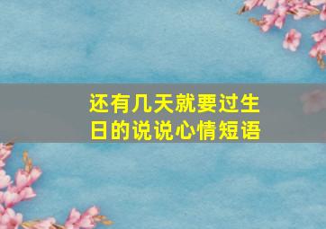 还有几天就要过生日的说说心情短语