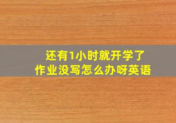 还有1小时就开学了作业没写怎么办呀英语