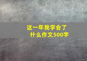 这一年我学会了什么作文500字