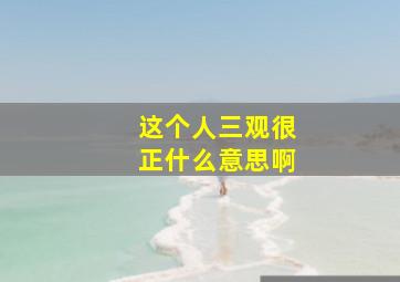 这个人三观很正什么意思啊