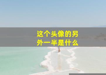 这个头像的另外一半是什么