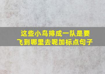 这些小鸟排成一队是要飞到哪里去呢加标点句子