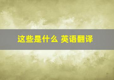 这些是什么 英语翻译