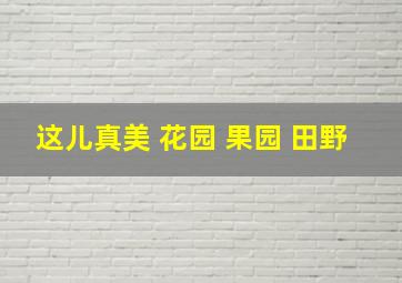 这儿真美 花园 果园 田野