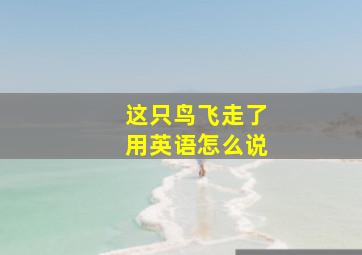 这只鸟飞走了用英语怎么说