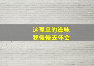 这孤单的滋味 我慢慢去体会