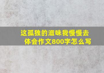 这孤独的滋味我慢慢去体会作文800字怎么写