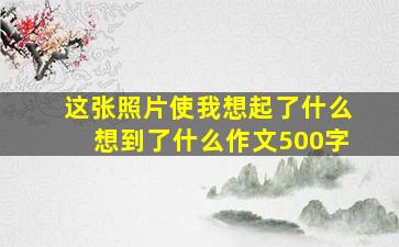 这张照片使我想起了什么想到了什么作文500字