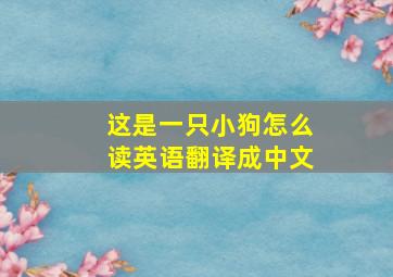 这是一只小狗怎么读英语翻译成中文