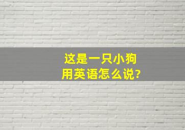 这是一只小狗用英语怎么说?