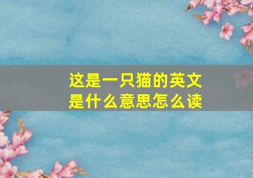 这是一只猫的英文是什么意思怎么读