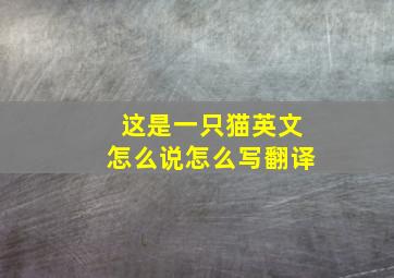 这是一只猫英文怎么说怎么写翻译