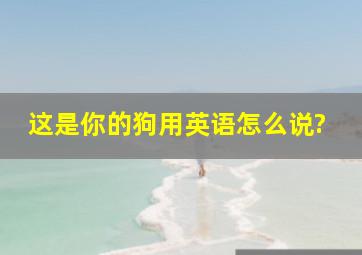 这是你的狗用英语怎么说?