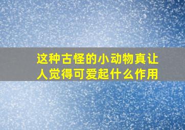 这种古怪的小动物真让人觉得可爱起什么作用