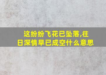 这纷纷飞花已坠落,往日深情早已成空什么意思