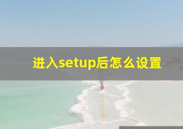 进入setup后怎么设置