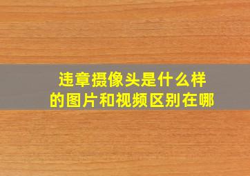 违章摄像头是什么样的图片和视频区别在哪