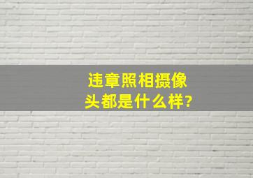 违章照相摄像头都是什么样?