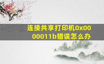 连接共享打印机0x0000011b错误怎么办