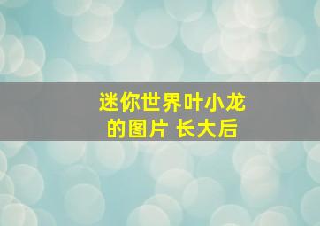 迷你世界叶小龙的图片 长大后