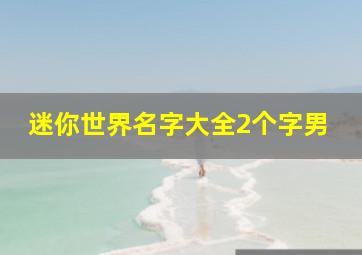 迷你世界名字大全2个字男