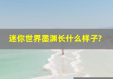 迷你世界墨渊长什么样子?