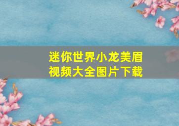 迷你世界小龙美眉视频大全图片下载