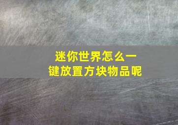 迷你世界怎么一键放置方块物品呢